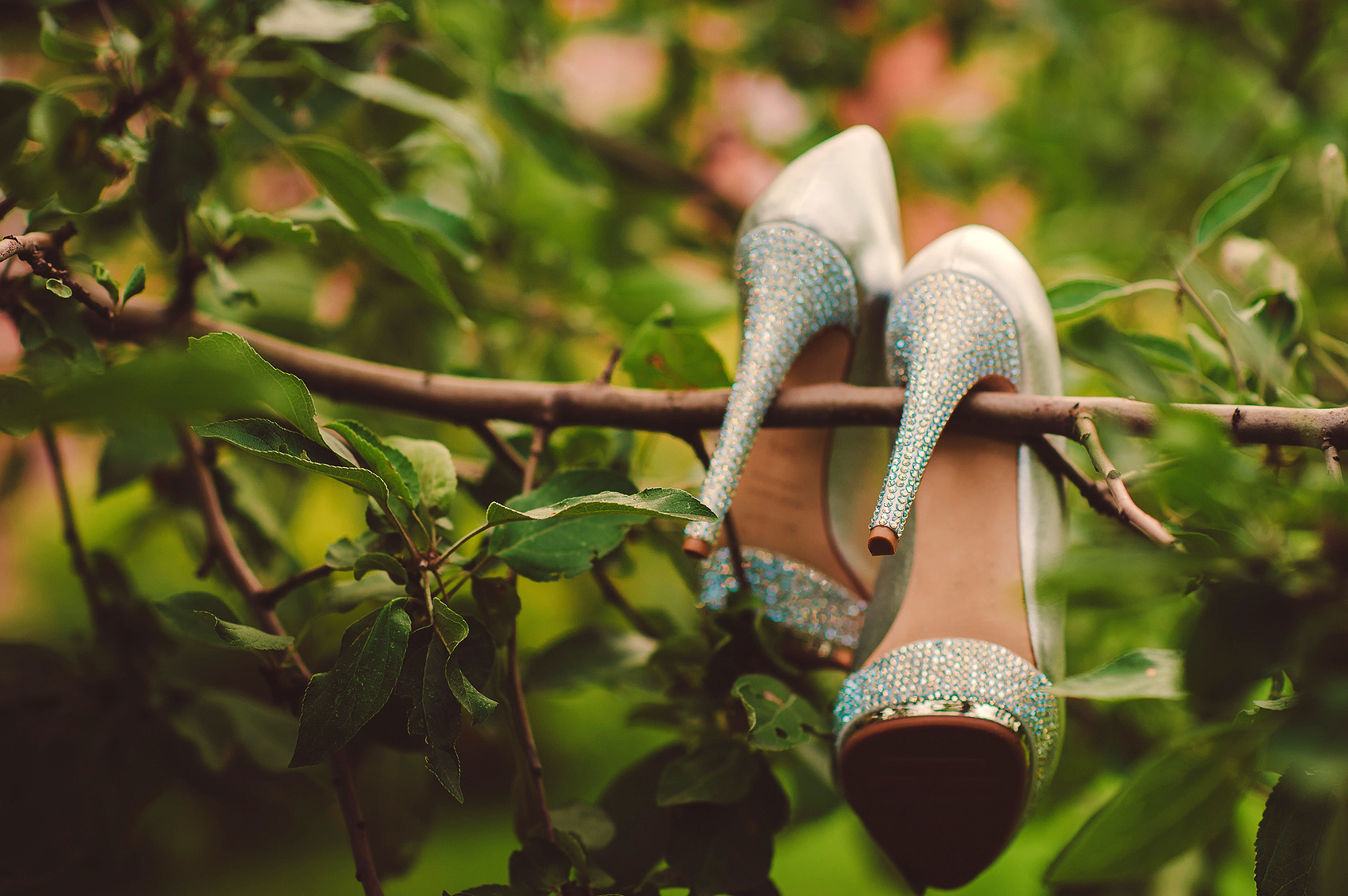 zapatos-de-novia-en-arbol